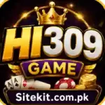 HI309 Game